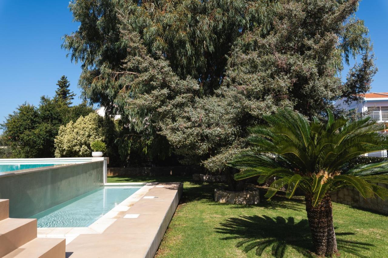 Villa Cedar Tree Kounoupidhiana