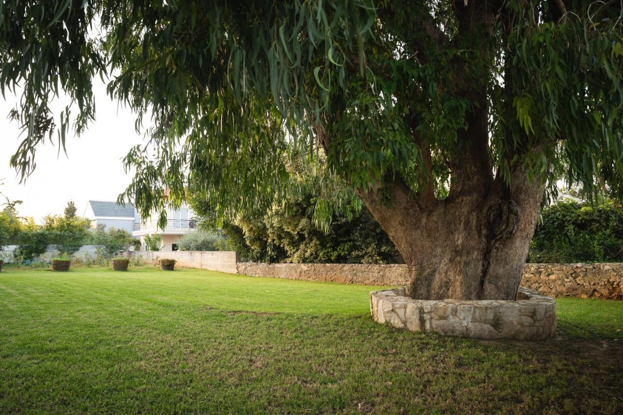 Villa Cedar Tree