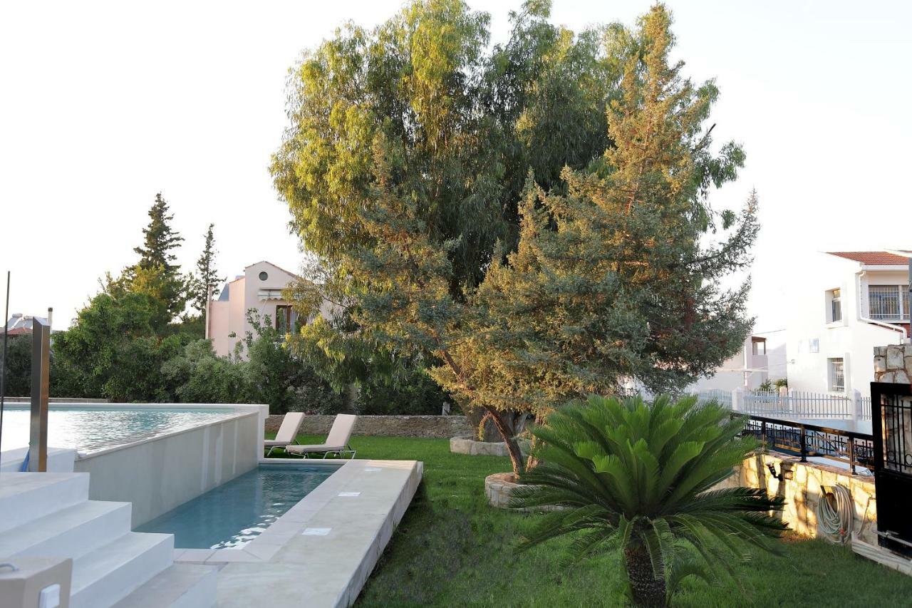 Cedar Tree * Kounoupidhianá