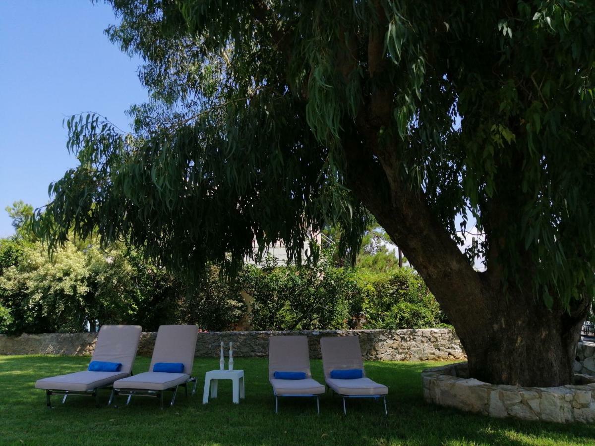 Villa Cedar Tree *